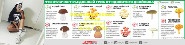 скорость mdpv Белокуриха